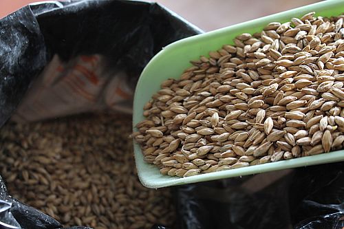 Фото пресс-службы Управления Россельхознадзора по Хакасии и Туве